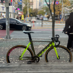 언노운 샤크 반차입니다!! 이미지