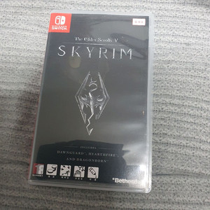 닌텐도 스위치 스카이림