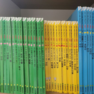 여원미디어 탄탄 자연속으로 전집 이미지