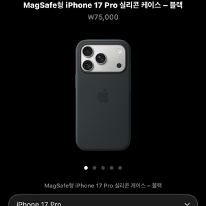 아이폰17프로 애플정품케이스