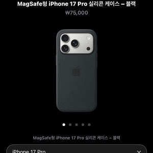 아이폰17프로 애플정품케이스