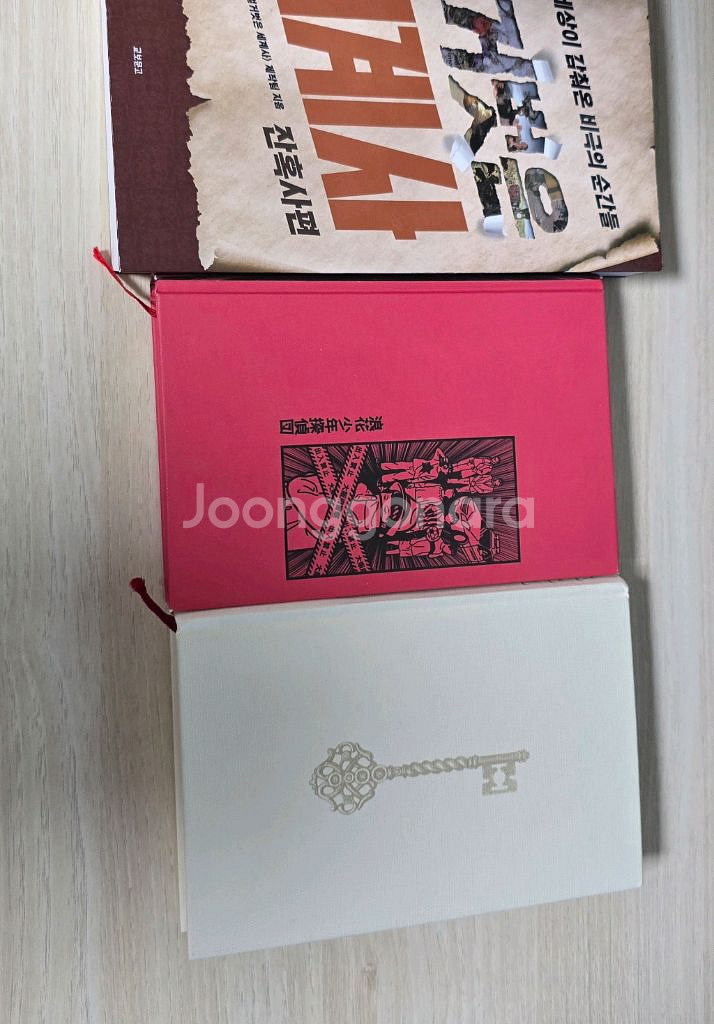 벌거벗은 세계사 당신이 누군가를 죽였다 오사카소년탐정단 추리소설 히가시노 게이고--0