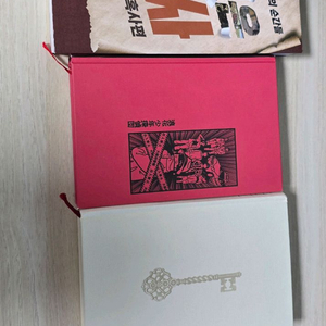 벌거벗은 세계사 당신이 누군가를 죽였다 오사카소년탐정단 추리소설 히가시노 게이고