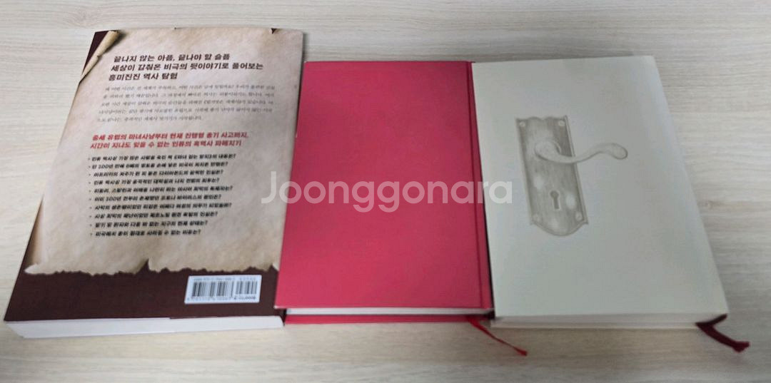 벌거벗은 세계사 당신이 누군가를 죽였다 오사카소년탐정단 추리소설 히가시노 게이고--1