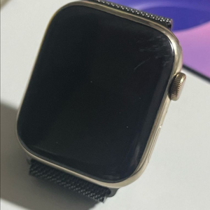 애플워치9 45mm 셀룰러 스테인리스 골드