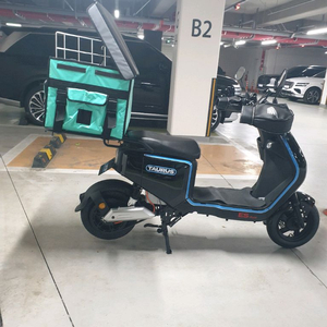 타우러스 es 듀얼 60v 30ah[가격제시가능]