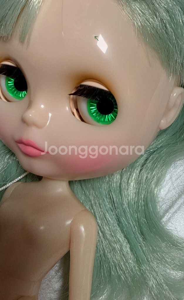 브라이스인형 미스샐리라이스--3