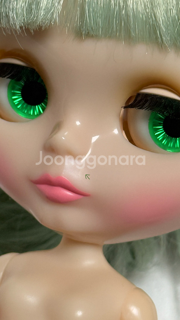 브라이스인형 미스샐리라이스--5