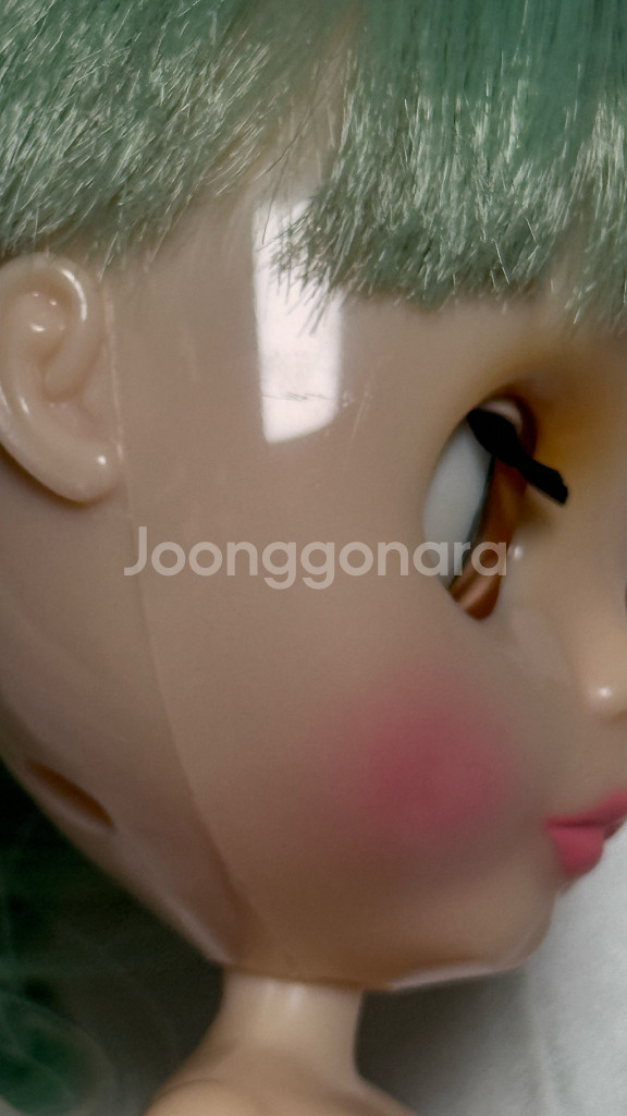 브라이스인형 미스샐리라이스--7