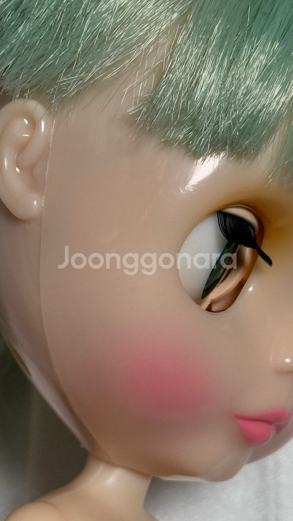 브라이스인형 미스샐리라이스--8