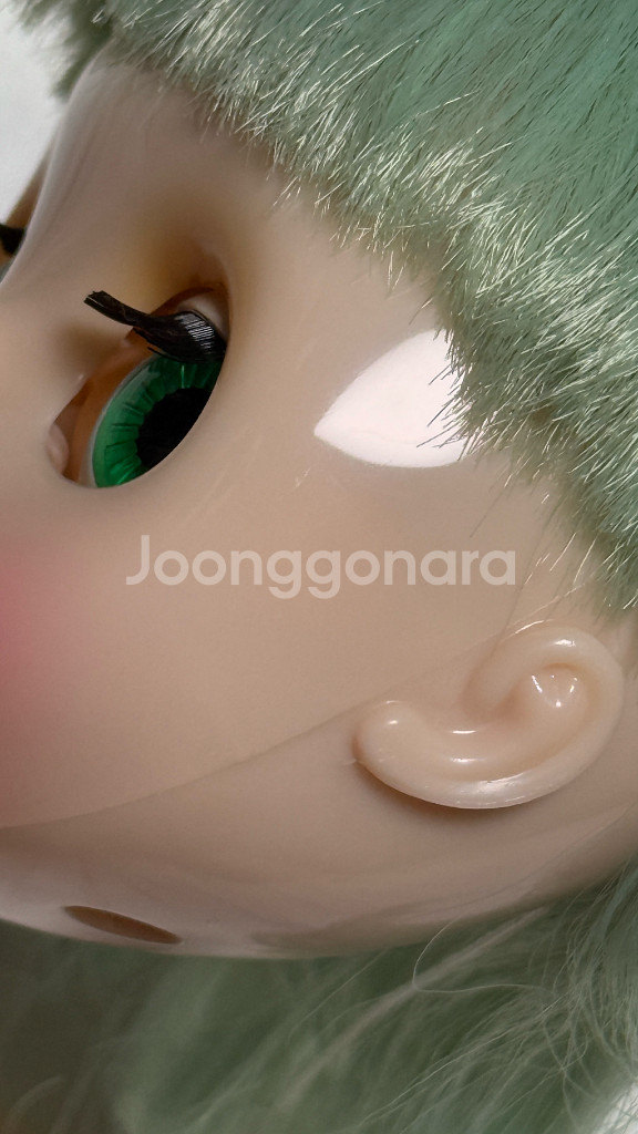 브라이스인형 미스샐리라이스--9