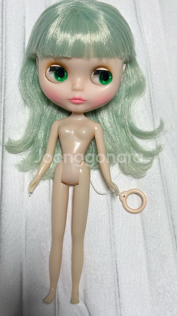 브라이스인형 미스샐리라이스--2