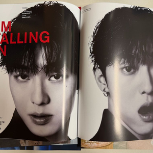 부국제 부산국제영화제 30회 씨네21 최현욱 배수지