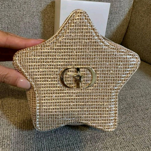 디올 홀리데이 파우치 골드 스타