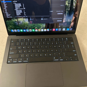 맥북프로m4 14인치 24/512