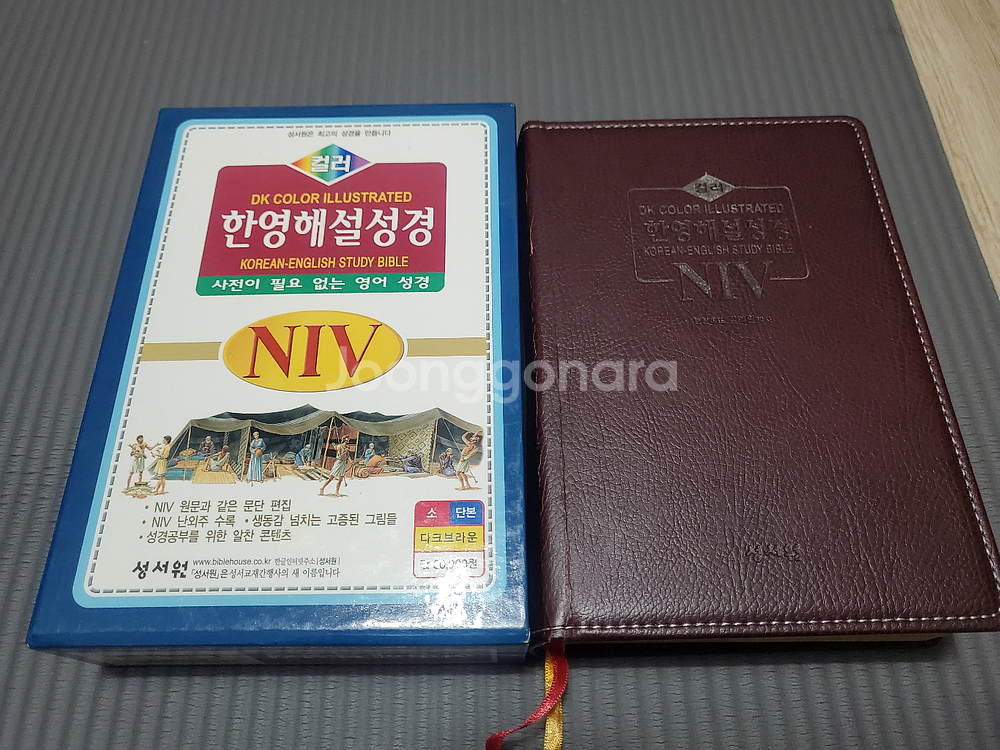 컬러 한영해설 성경 NIV--0