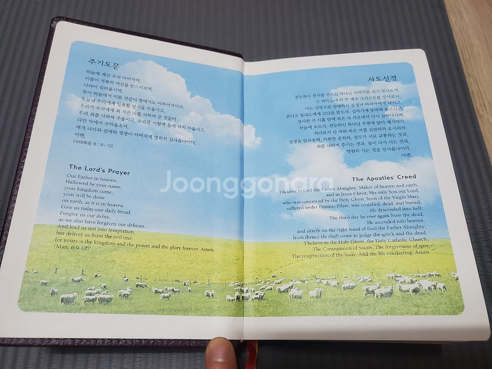 컬러 한영해설 성경 NIV--1