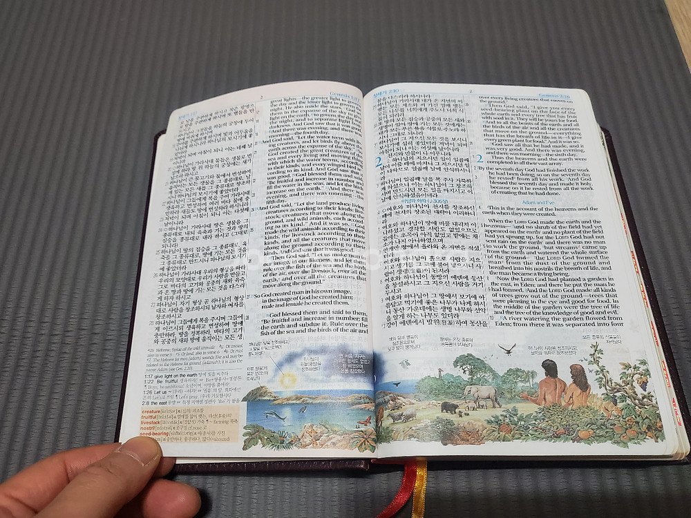 컬러 한영해설 성경 NIV--3