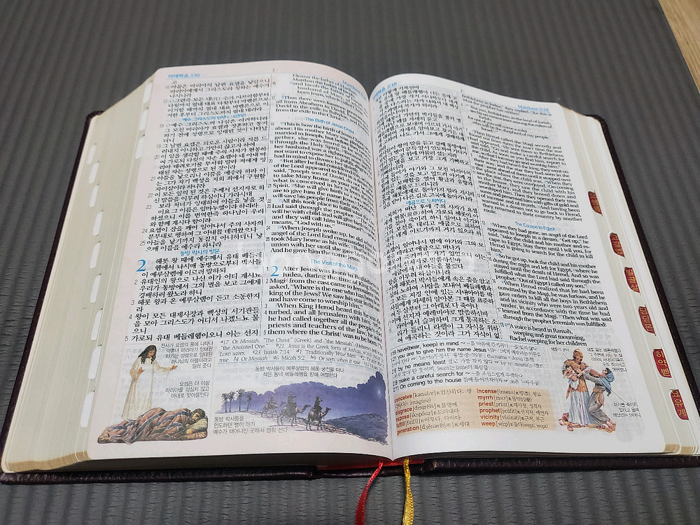 컬러 한영해설 성경 NIV--4