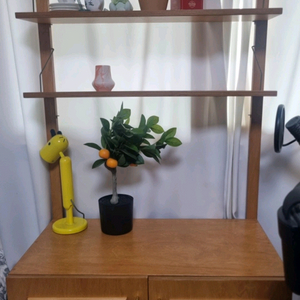 라이크노아 오렌지브라운 프레임사이드보드 원목 4단 오픈장