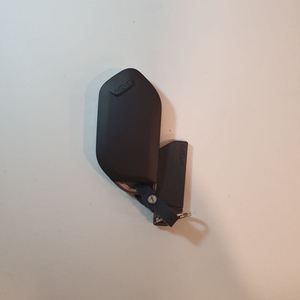 기아 카니발 4세대(2023) 스마트키 → 디지털 디스플레이키 컨버전 이미지