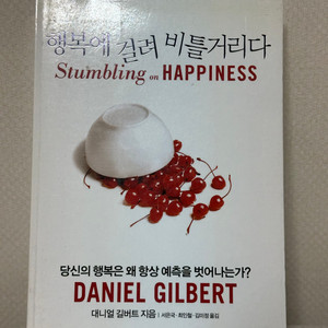 행복에 걸려 비틀거리다 - 대니얼 길버트