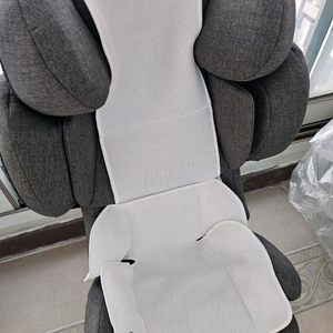 싸이벡스 Q2픽스 카시트