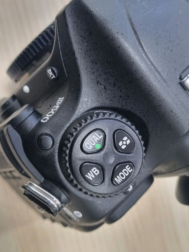 니콘 D500--4