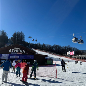 하이원 12/4일 리프트권 7시간권 팝니다