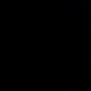 틱톡 장기미접 팝니다