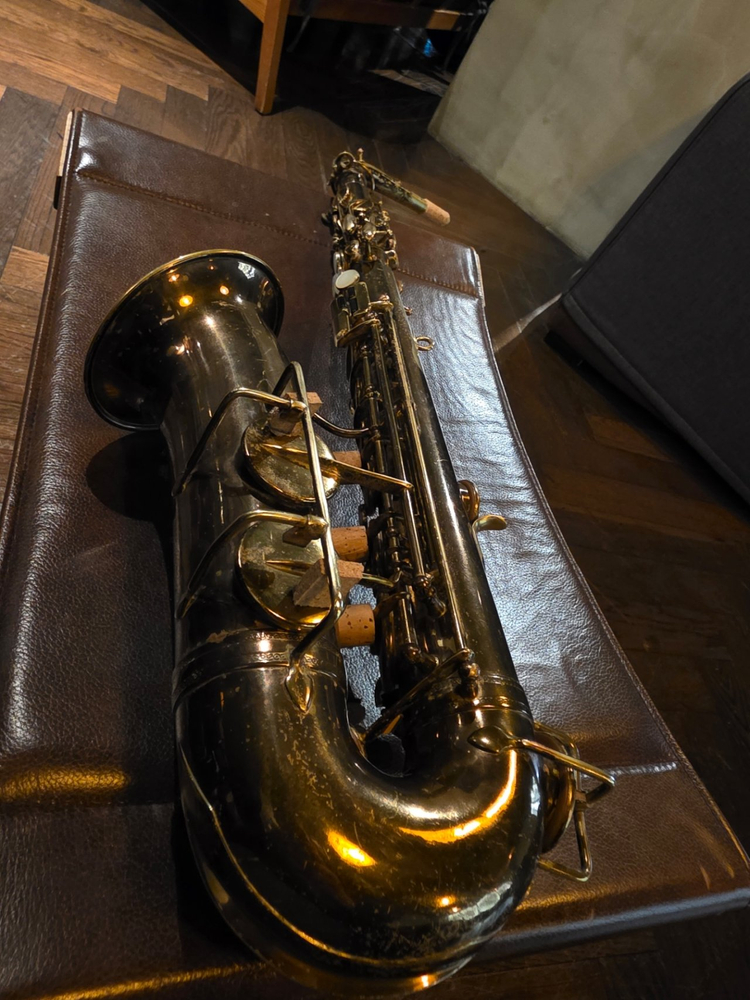 기능상 신품 셀마 모델 22 알토 색소폰 팝니다 이미지