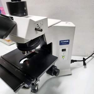 올림푸스 BX41형광 현미경 이미지