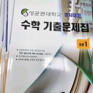 성대 경시 전기 기출문제집 이미지