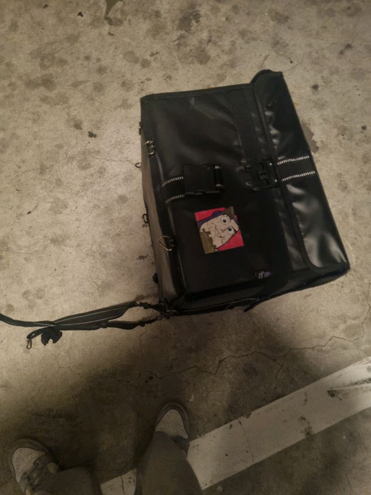 카멜레온 바스켓 이미지