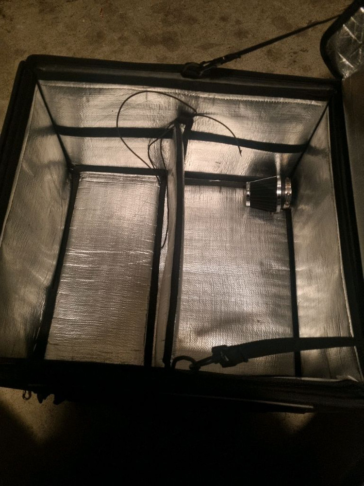 카멜레온 바스켓 이미지