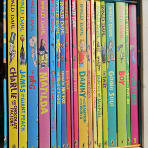 로알드달 원서 19권 박스셋