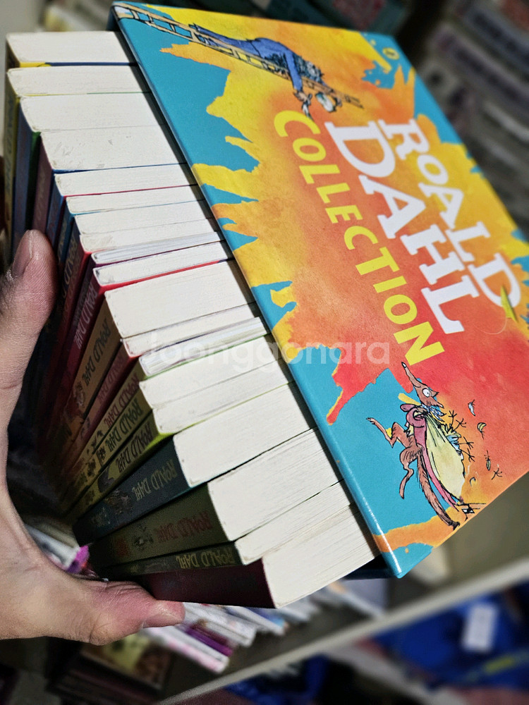 로알드달 원서 19권 박스셋--1