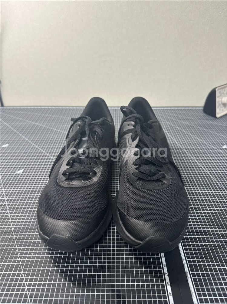 나이키 스타러너 245mm--1