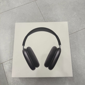 애플 에어팟 맥스 스페이스 그레이