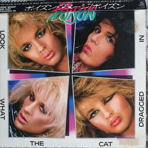 POISON - LOOK WHAT THE CAT DRAGGED IN LP(일본초반) 이미지