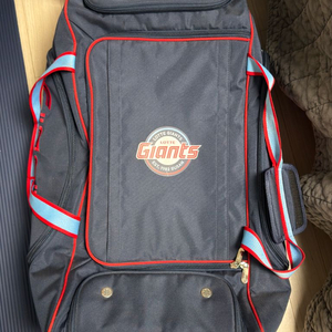 롯데자이언츠 캐리어 가방 백팩 이민석 선수 실사