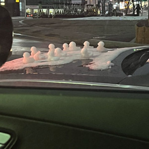 웰리힐리 시즌권 또는 x5시즌권 구매합니다