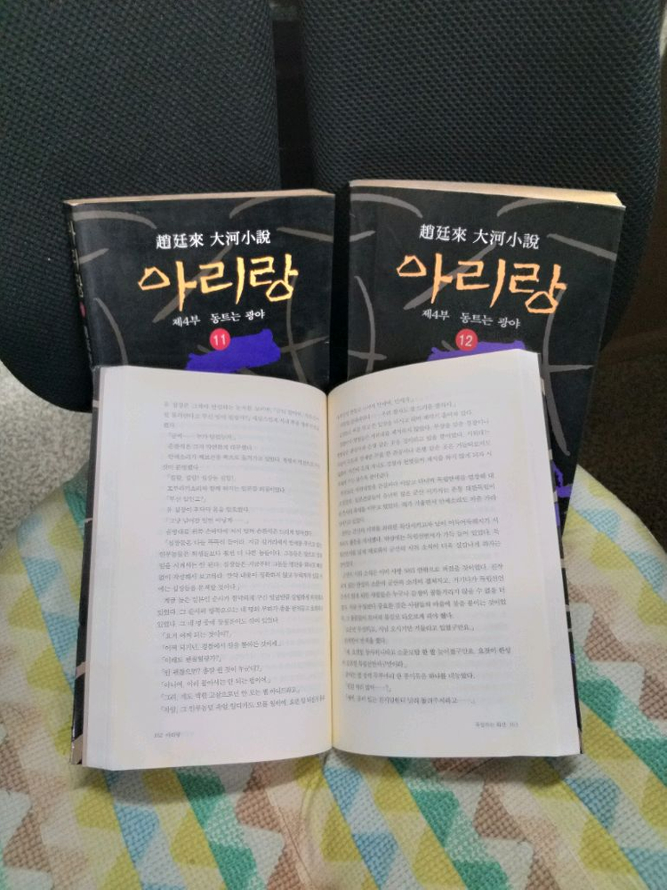 *조정래대하소설 아리랑6권,11권,12권총3붠 이미지