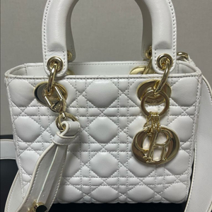 럭셔리 레더 핸드백 디올레이디 레플