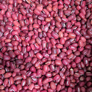 팥(붉은팥)