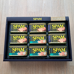 스팸클래식 200g 5개+ 스팸마일드 200g 4개 (스팸 8C호)