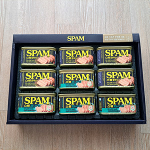 스팸클래식 200g 5개+ 스팸마일드 200g 4개 (스팸 8C호)