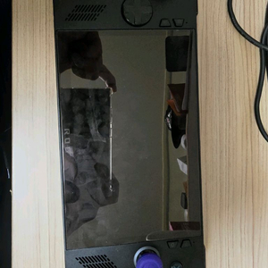 흑갈리 로갈리 2tb 팝니다.