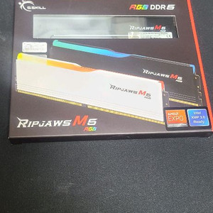 램 지스킬 5200 ddr5-5200 립죠 팝니다.