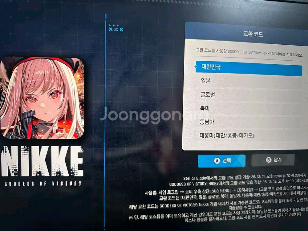 니케홍련스킨 쿠폰 양도--1